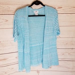 🎈Final Sale🎈 Light Blue Marled Cardigan